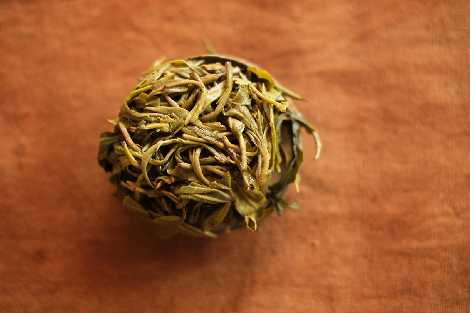 Spring 2024 Jingmai Liu Dui Garden