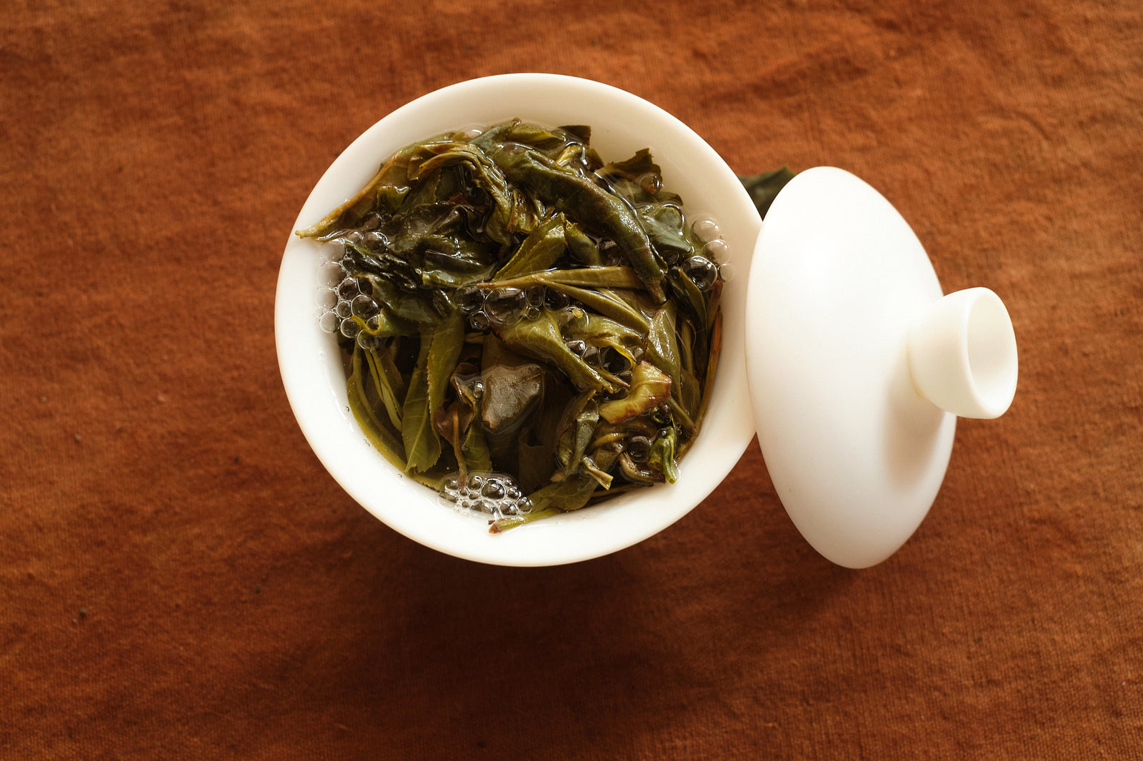 Spring 2024 Jingmai Liu Dui Garden