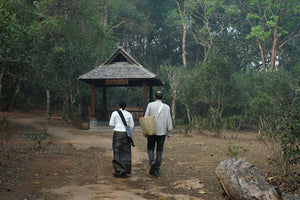 Spring 2023 Mai Sao Kan
