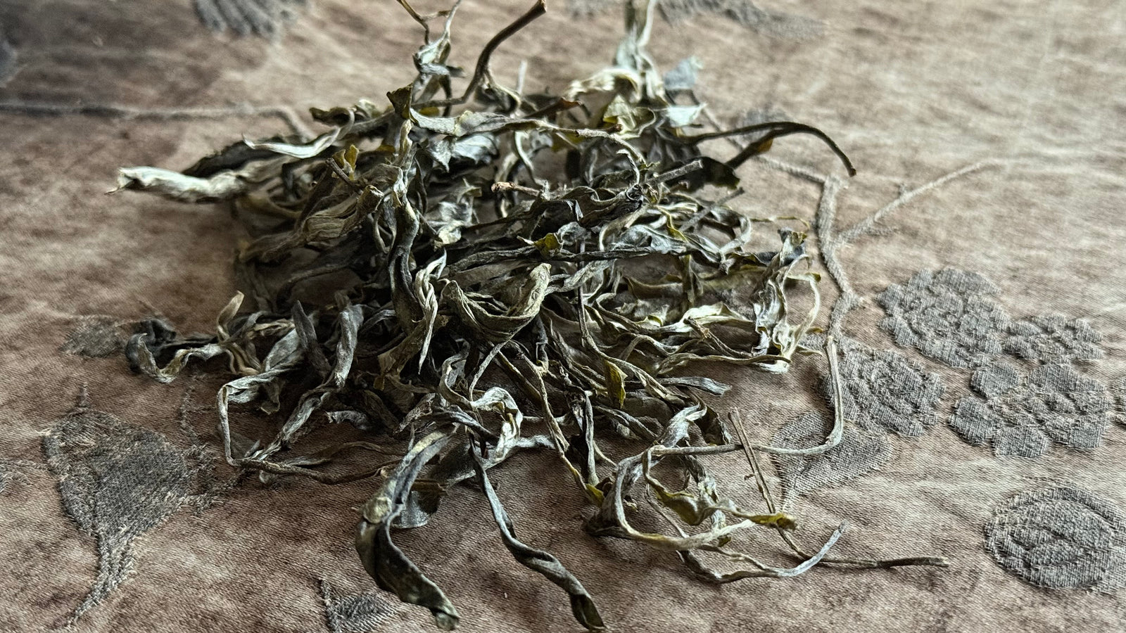 Spring 2025 Da Sun Shan Single Tree