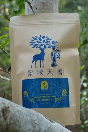 Spring 2026 Jingmai Ai Ban
