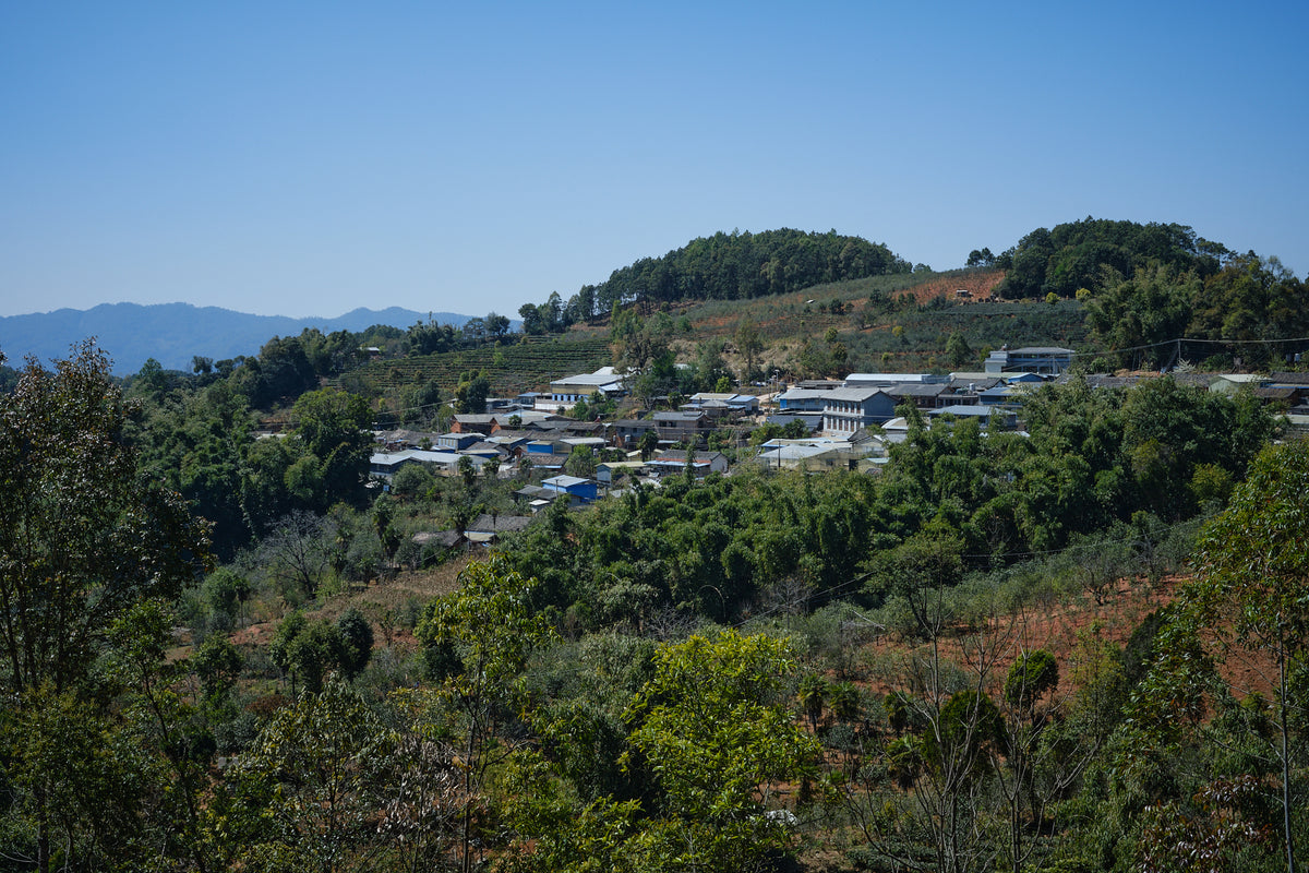 Ku Zhu Shan