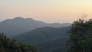 Autumn 2025 Yan Leng Yun