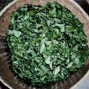 Autumn 2025 Yan Leng Yun