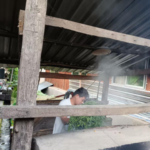 Autumn 2025 Yan Leng Yun