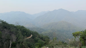 Spring 2025 Gua Feng Zhai