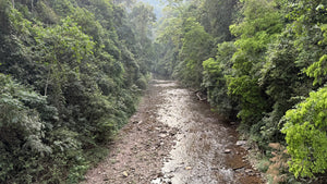 Spring 2025 Gua Feng Zhai