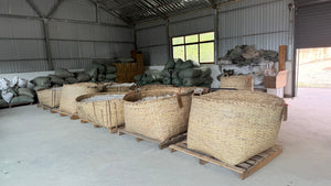 Spring 2025 Jingmai Ripe