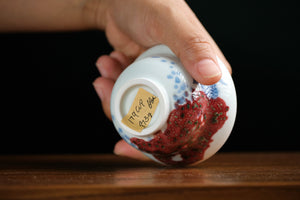 Jingdezhen cup 179 — photo 6