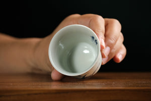 Jingdezhen cup 200 — photo 4