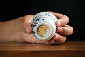 Jingdezhen cup 200 — photo 6