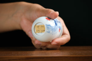 Jingdezhen cup 214 — photo 5