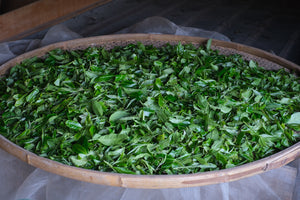 Spring 2026 Jingmai Shengtai Light Roast Sun-Dried Black
