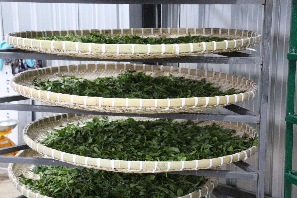 Spring 2019 Mae Hong Son White