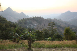 Spring 2019 Mae Hong Son White