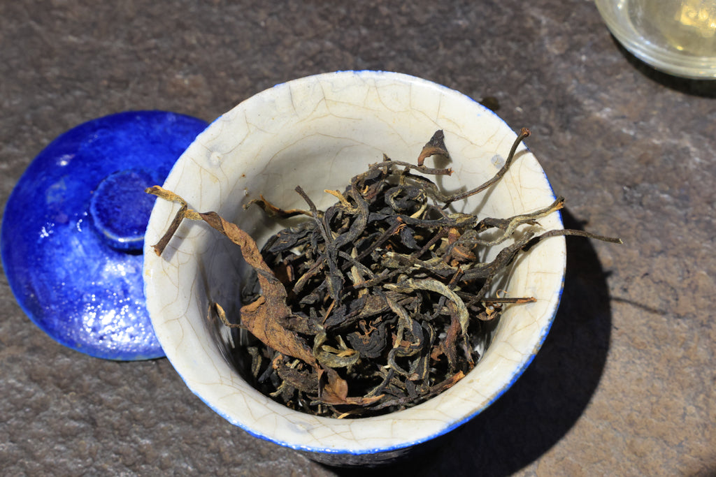 Autumn 2021 Experimental Black #1