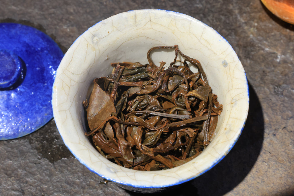 Autumn 2021 Experimental Black #1