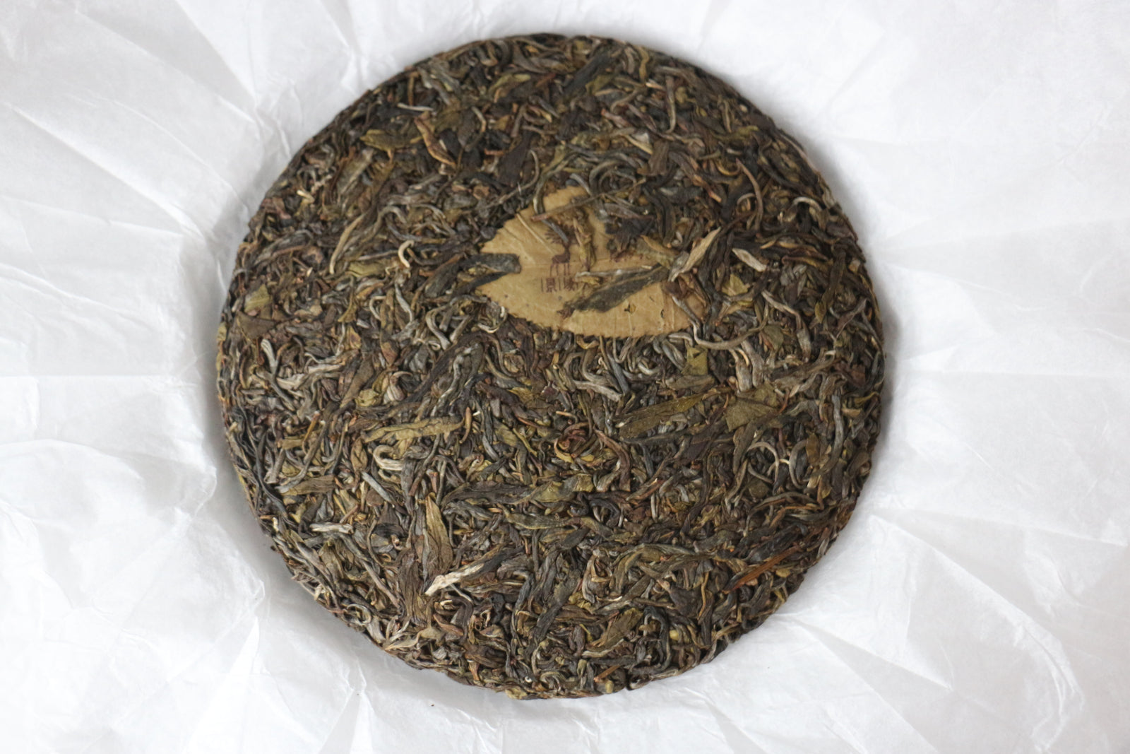 Spring 2019 Mangjing