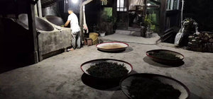 Spring 2019 Mangjing
