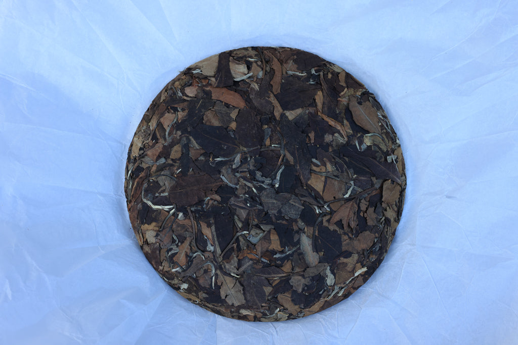 Summer 2021 Jingmai White