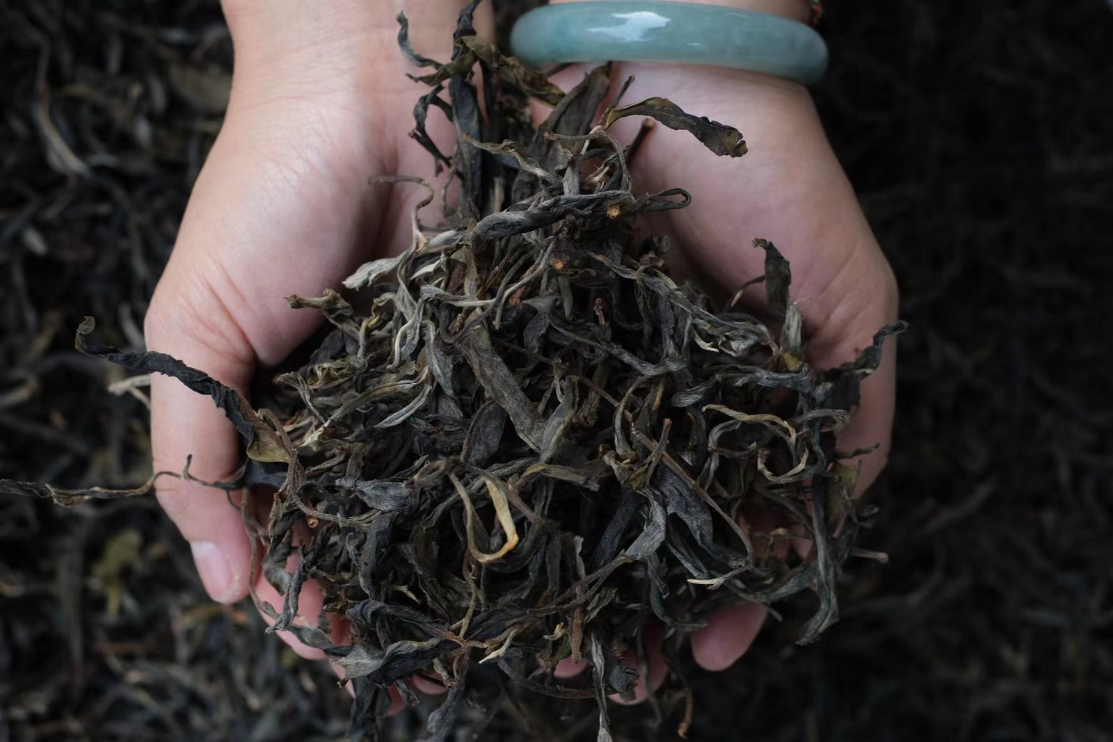 Spring 2022 Tang Fang Liang Zi Single Trees