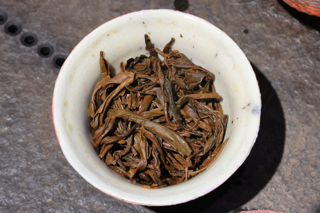 Autumn 2021 Experimental Black #2