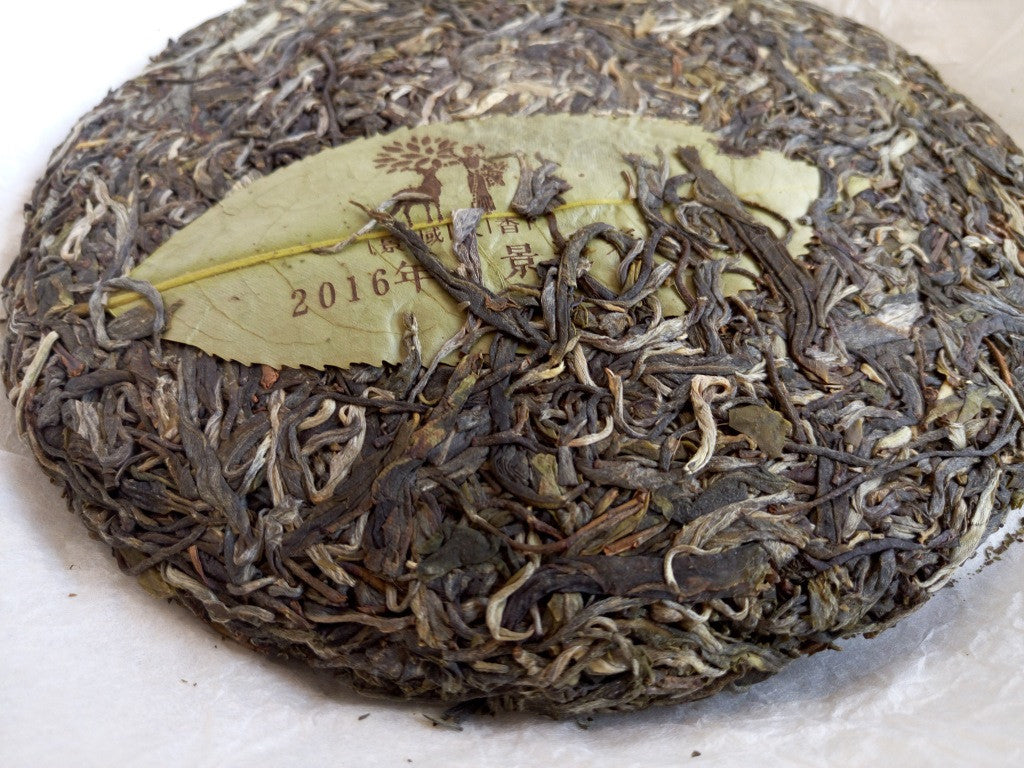 jingmai plantation tea spring 2016