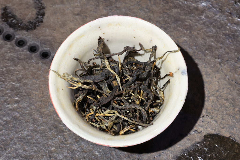 Autumn 2021 Experimental Black #3