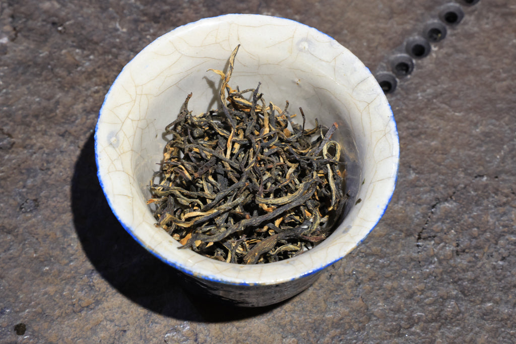 Autumn 2021 Experiment Black #4