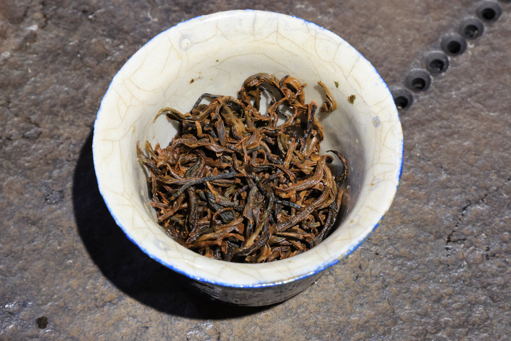 Autumn 2021 Experiment Black #4