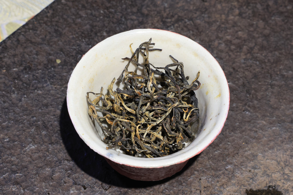 Autumn 2021 Experimental Black #5