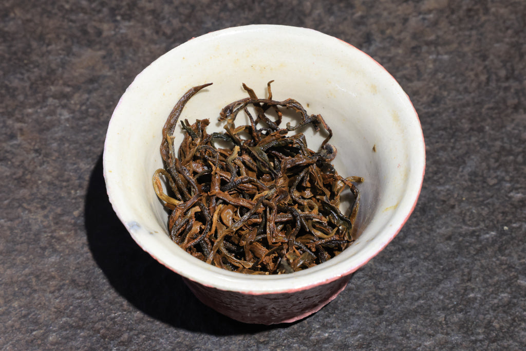 Autumn 2021 Experimental Black #5