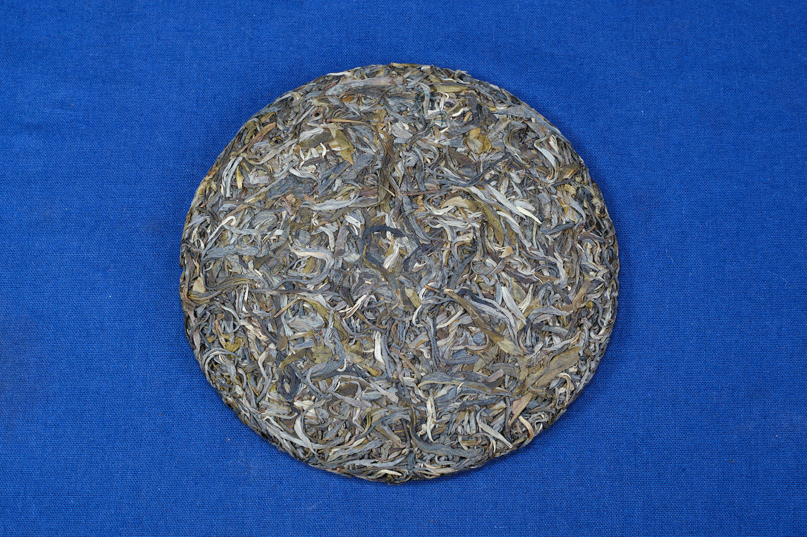 Autumn 2021 Jingmai Gushu