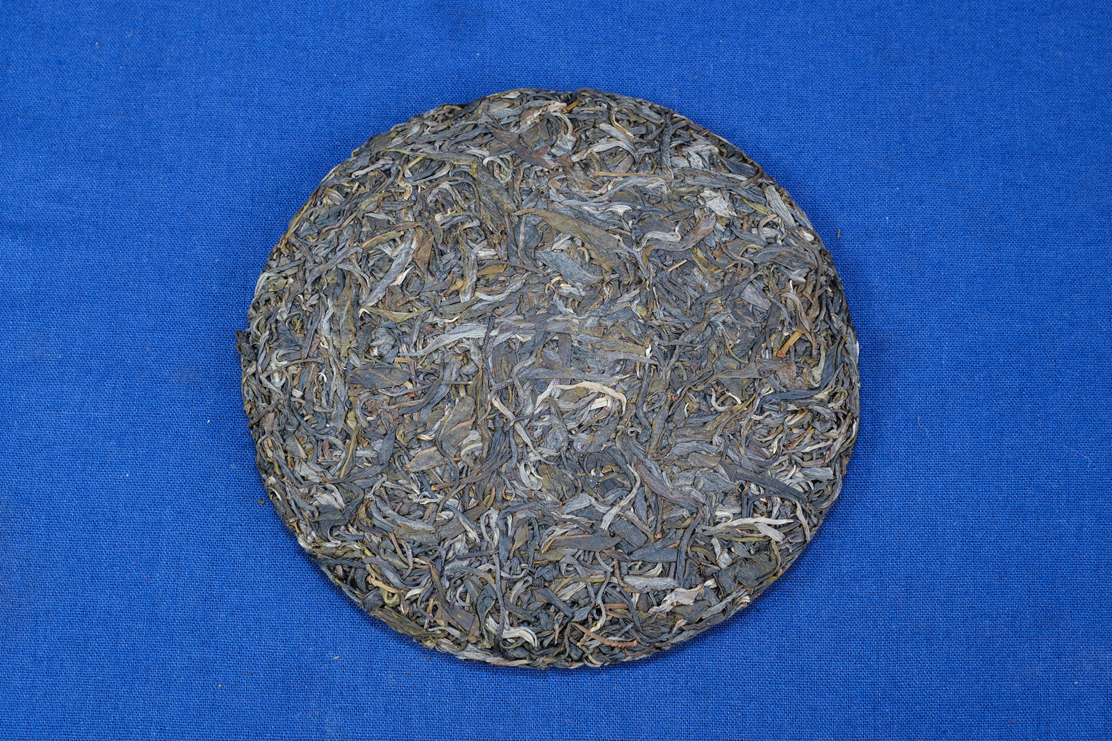 Spring 2021 Fa Zhan He