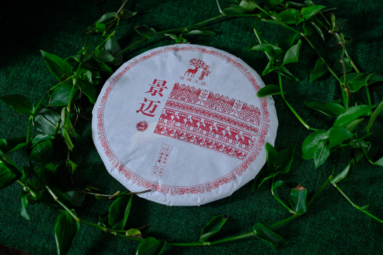 Autumn 2020 Jingmai Gushu