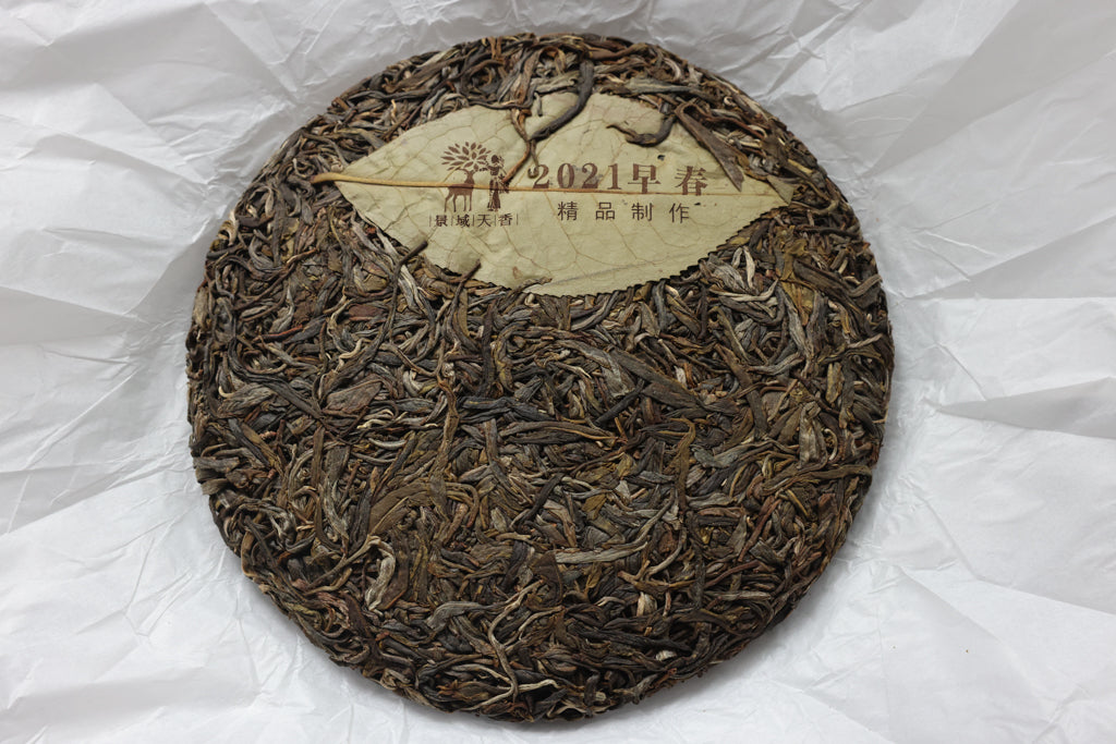 Spring 2021 Dong Guo