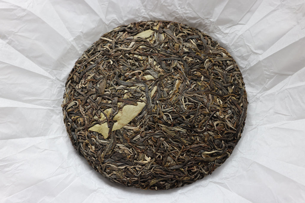 Spring 2021 Pasha big trees