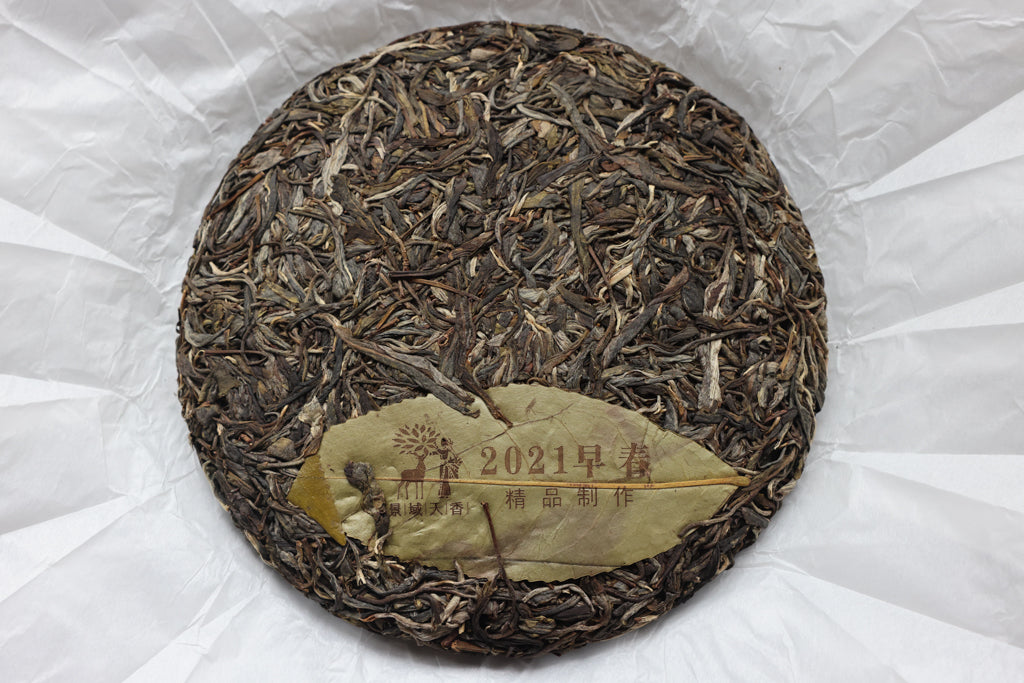 Spring 2021 Huey Wa big trees