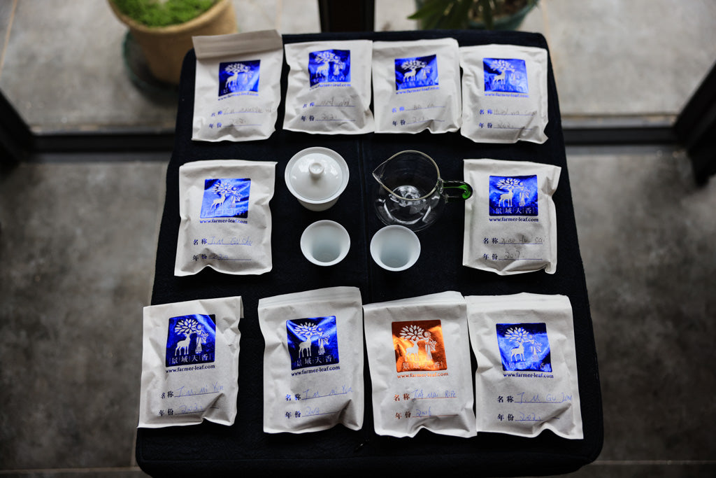 Gongfu Starter Pack