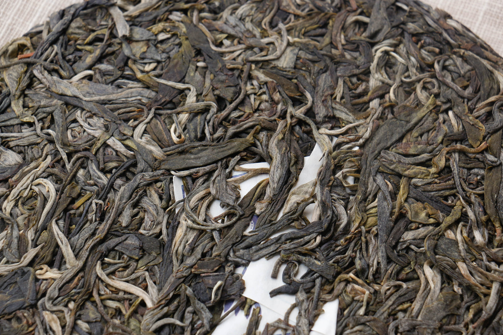 Spring 2020 Lao Man E Shengtai