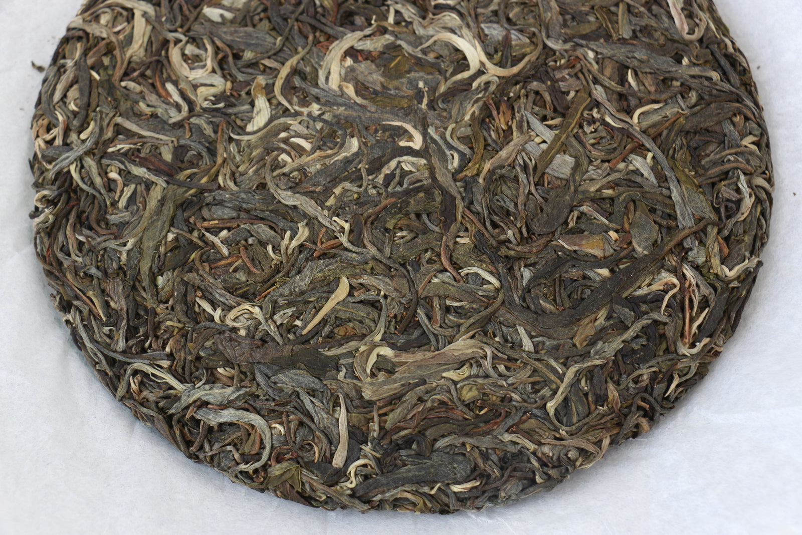 Autumn 2019 Nannuo Shan