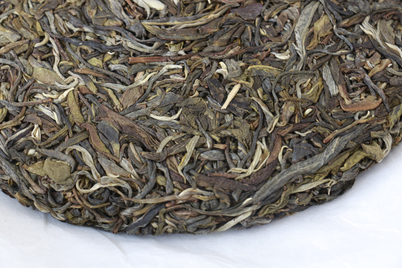 Autumn 2019 Jingmai Shengtai