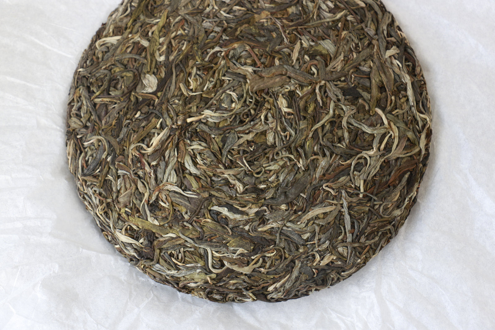 Autumn 2019 Lao Man E