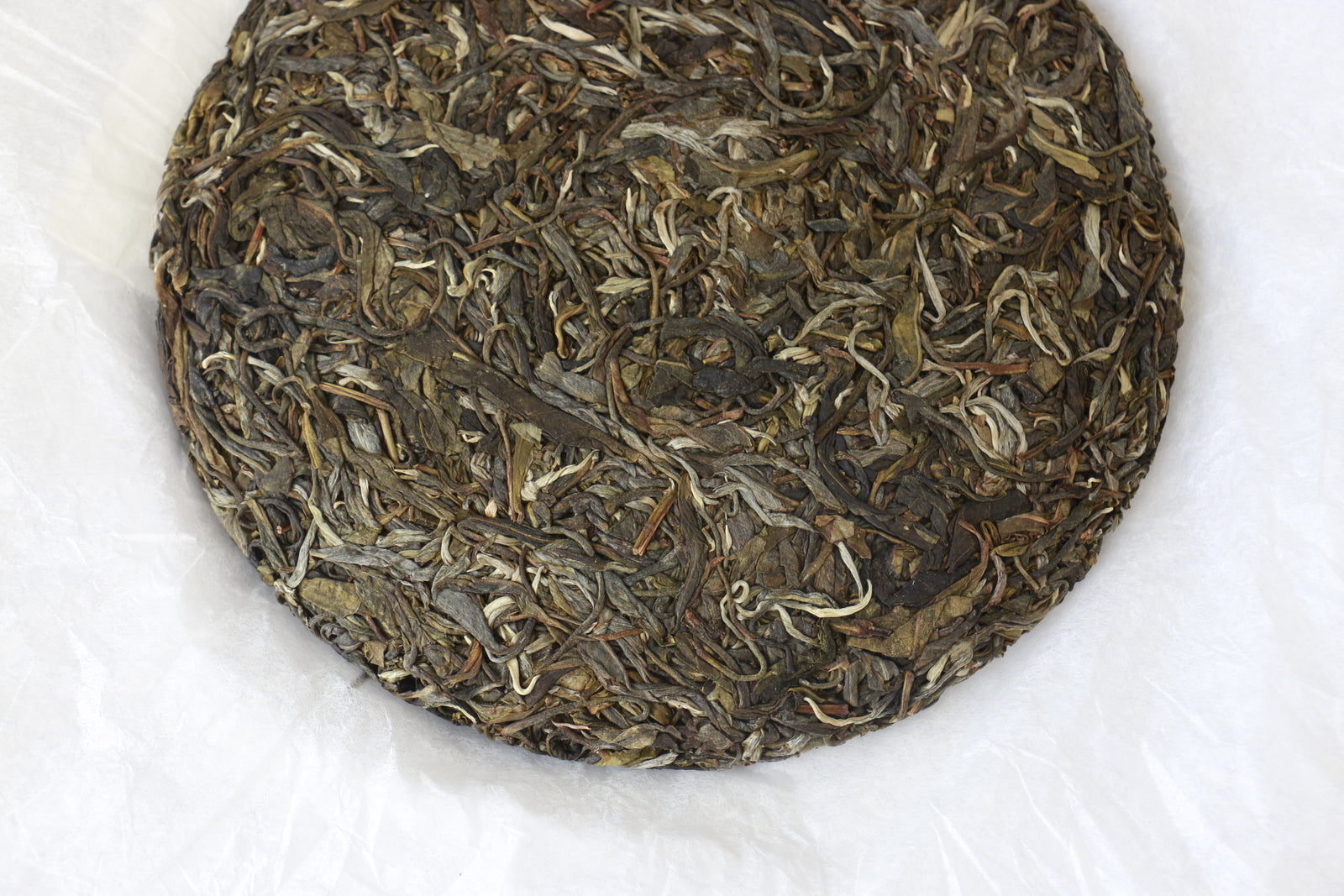 Autumn 2019 Jingmai Gushu