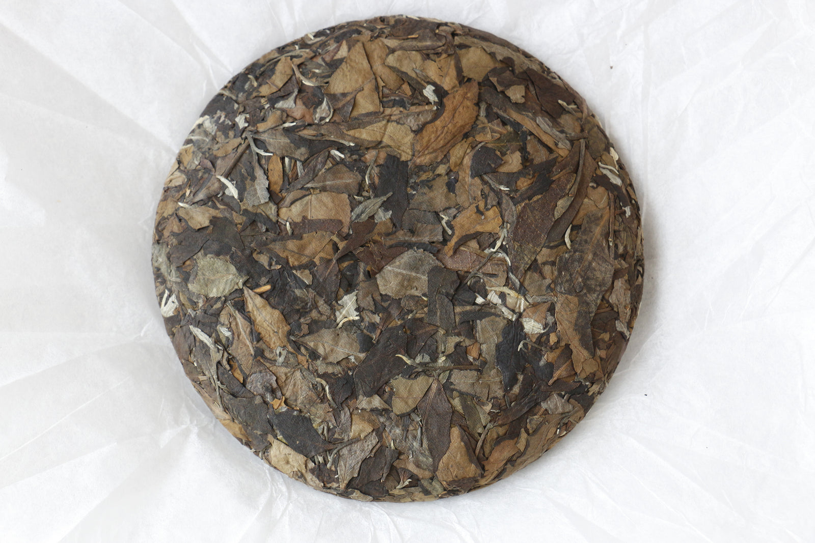 Summer 2019 Jingmai Moonlight