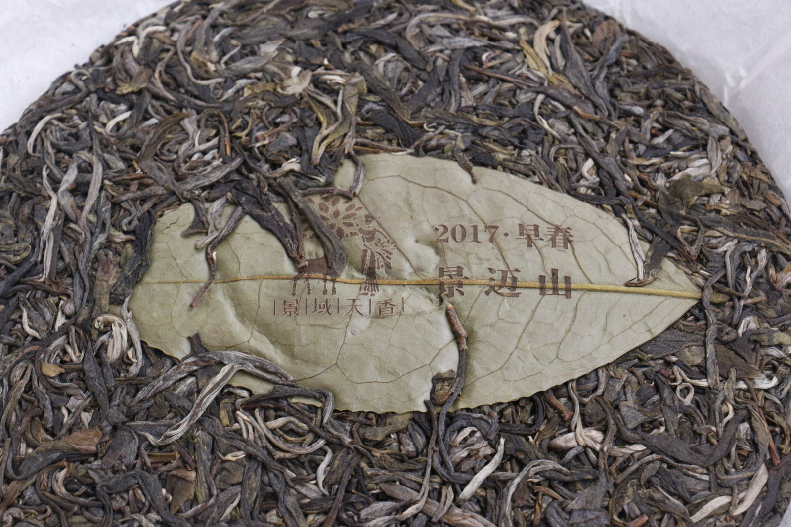 Spring 2017 Jingmai Single Trees