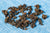 Roasted Ailao High Mountain Oolong
