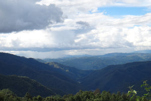 valley in yunnan