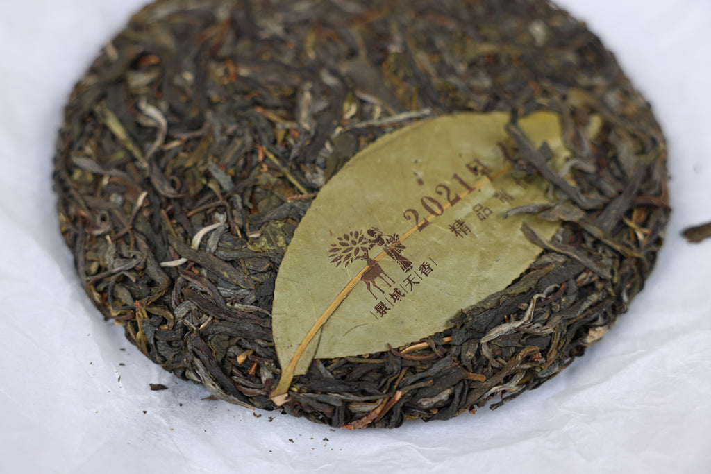 Spring 2021 Ao Ne Me