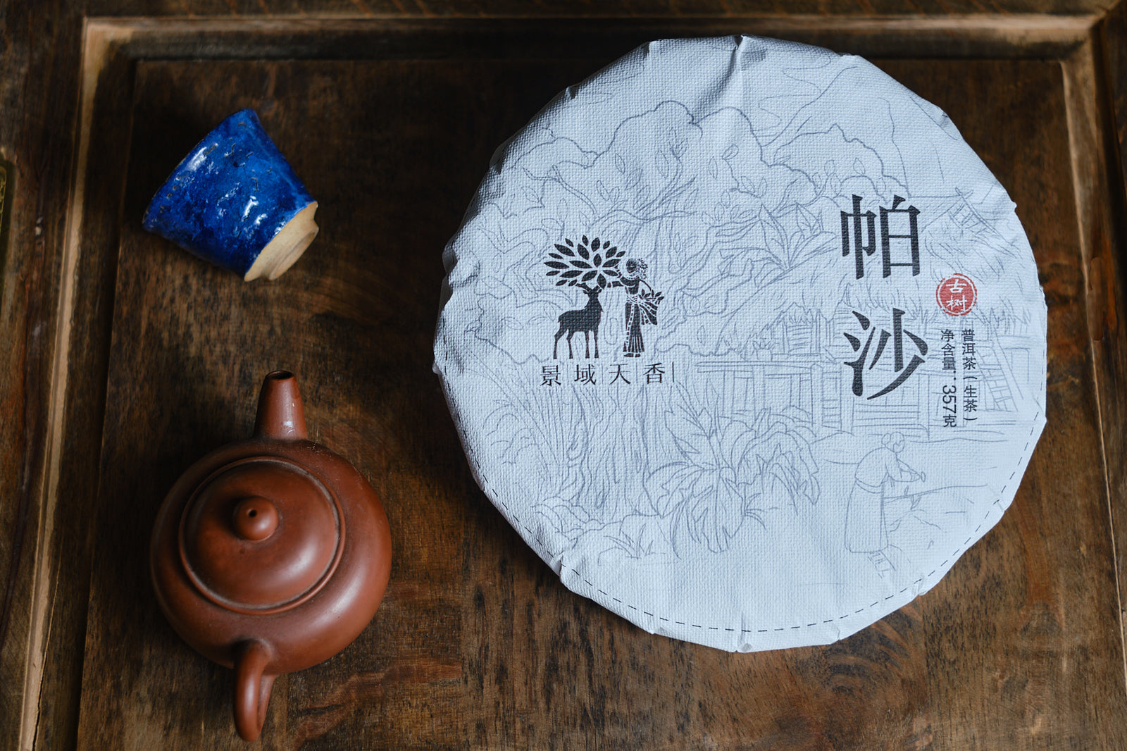 Autumn 2021 Pasha big trees